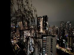 The Viridian (D12), Apartment #575677491